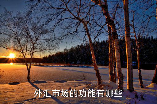 外匯有什么用，外匯市場(chǎng)的功能有哪些