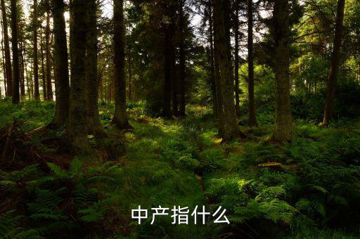 中產(chǎn)消費什么，網(wǎng)易電商平臺帶給中產(chǎn)消費者的核心價值是什么