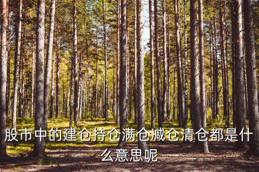 為什么減倉(cāng)，減倉(cāng)是什么意思什么是減倉(cāng)