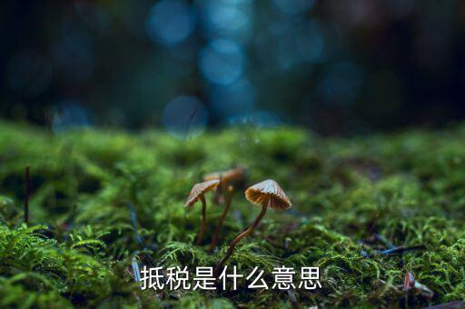 公司抵稅是什么意思，抵稅是什么意思