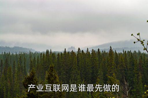 產(chǎn)業(yè)互聯(lián)網(wǎng)是什么龍頭，產(chǎn)業(yè)互聯(lián)網(wǎng)是誰(shuí)最先做的