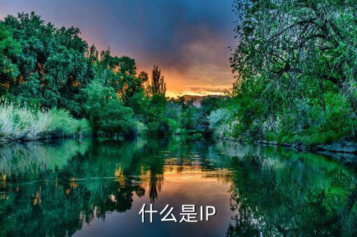 什么是IP為王，什么是IP