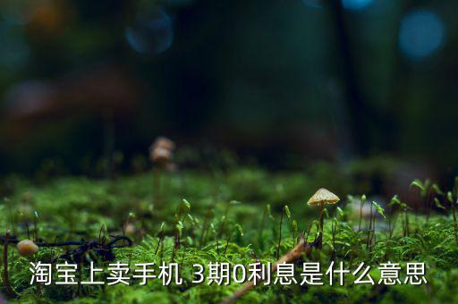三零分期什么意思，淘寶上賣(mài)手機(jī) 3期0利息是什么意思