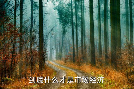 什么是市場經(jīng)濟(jì)，什么是市場經(jīng)濟(jì)