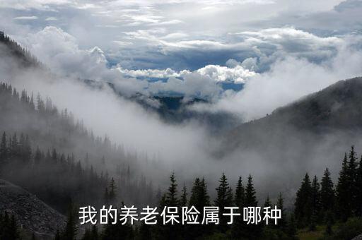 養(yǎng)老保險屬于什么保險，養(yǎng)老保險屬于什么保險