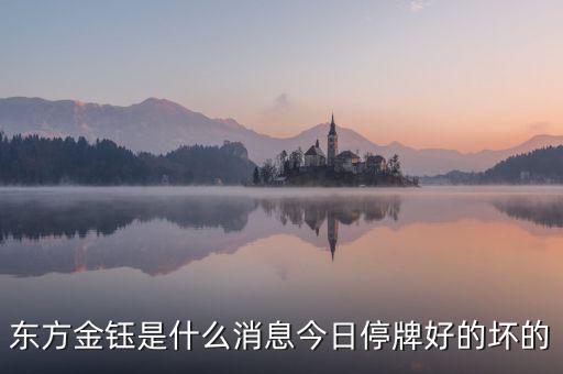 東方金鈺什么時(shí)候轉(zhuǎn)增，東方金鈺為什么增發(fā)