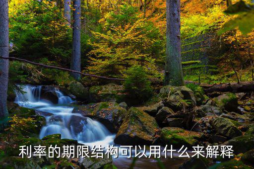 利率的期限結(jié)構(gòu)可以用什么來解釋，簡述利率的期限結(jié)構(gòu)