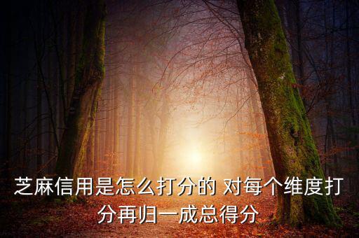 芝麻信用評(píng)分依據(jù)是什么，芝麻信用以什么依據(jù)評(píng)分