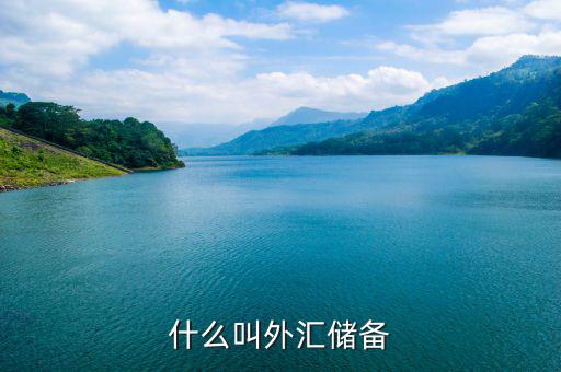 什么是外匯儲備，什么叫外匯儲備