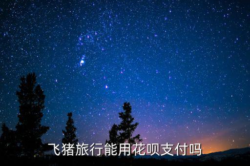 阿里巴巴abs什么時(shí)候推出的，交易貓可以用螞蟻花唄支付嗎