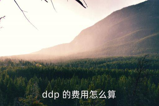 hmf是什么費(fèi)用，請(qǐng)問DEMDDF是什么費(fèi)用