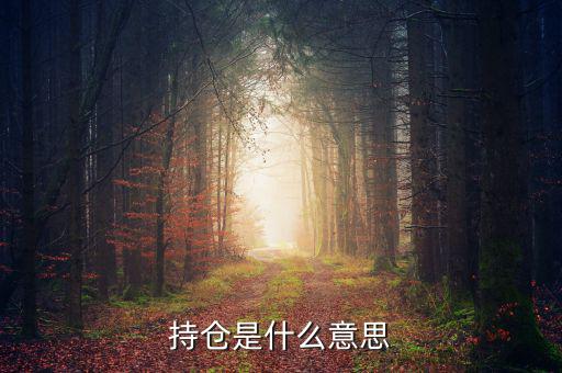 什么是買持倉，持倉是什么意思