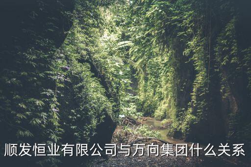 順發(fā)恒業(yè)是什么公司，順發(fā)恒業(yè)有限公司與萬(wàn)向集團(tuán)什么關(guān)系