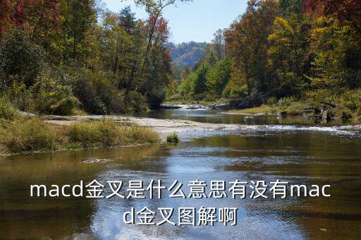 macd金叉是什么，請問在外匯交易中什么是MACD金叉