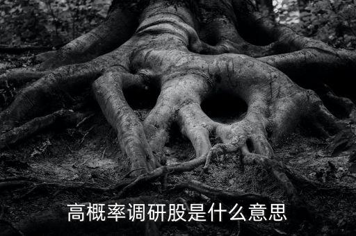 調(diào)研是什么意思股票，高概率調(diào)研股是什么意思