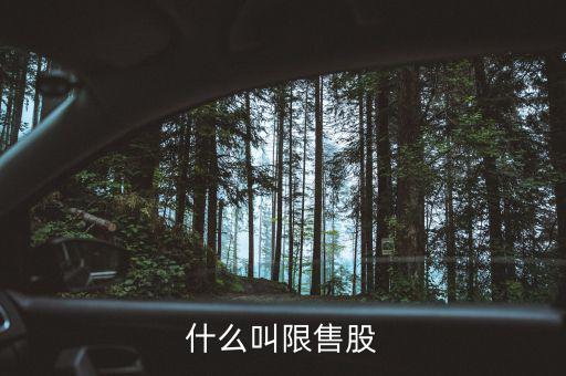 什么是上市公司限售股，什么叫限售股份