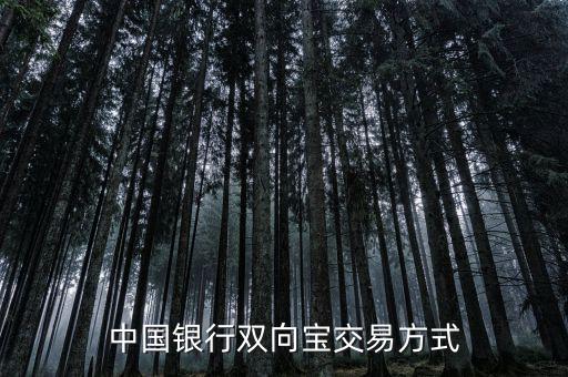 中國銀行雙向?qū)毷鞘裁?，中國銀行雙向?qū)殬I(yè)務(wù)詳細(xì)介紹