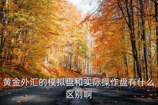 黃金外匯的模擬盤和實際操作盤有什么區(qū)別啊