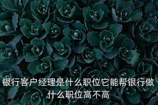 什么是銀行直銷客戶經(jīng)理，銀行客戶經(jīng)理是什么職位它能幫銀行做什么職位高不高