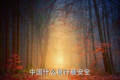 什么銀行安全，世界上什么銀行最安全