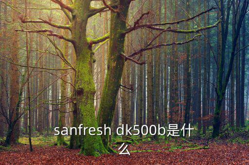 金鷹500b是什么，EOS 500B 是什么Rin的樂器
