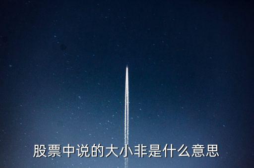 股市大小非是什么意思，股市中的大小非是指什么