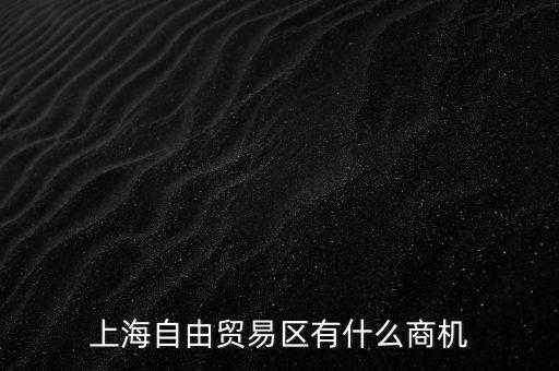 上海自由貿易區(qū)有什么商機