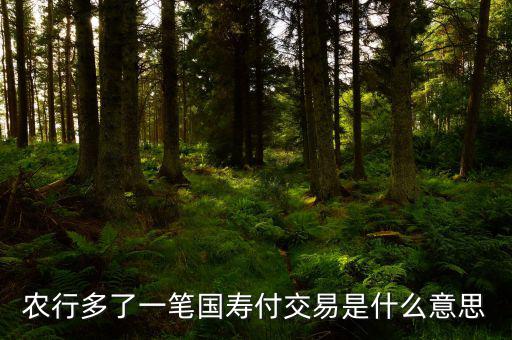 國壽交易是什么，農(nóng)行多了一筆國壽付交易是什么意思