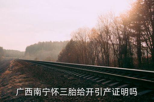 a廣西南寧生三胎有什么政策，2014年廣西人均收入2595元超生三胎罰款是多少錢