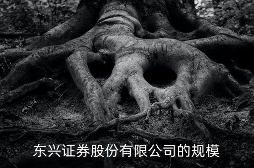 東興證券為什么是龍頭，東興證券這家證券公司怎么樣