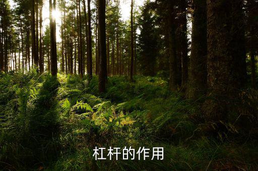 杠桿有什么用，杠桿的作用