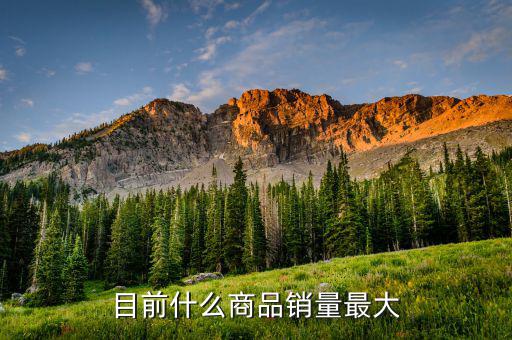 什么消費(fèi)品最大市場，目前什么商品銷量最大