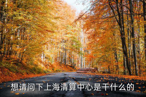 上海清算所做什么，想請(qǐng)問下上海清算中心是干什么的