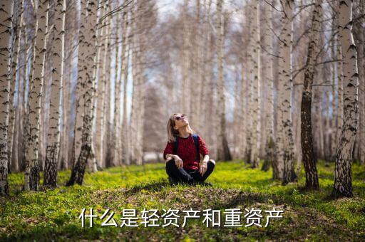 重資產(chǎn)模式是什么，什么是輕資產(chǎn)和重資產(chǎn)