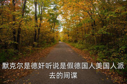 默克爾賭什么，默克爾是德奸聽說是假德國人美國人派去的間諜