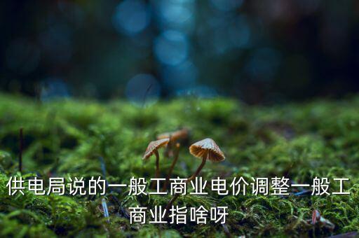 供電局說的一般工商業(yè)電價調整一般工商業(yè)指啥呀