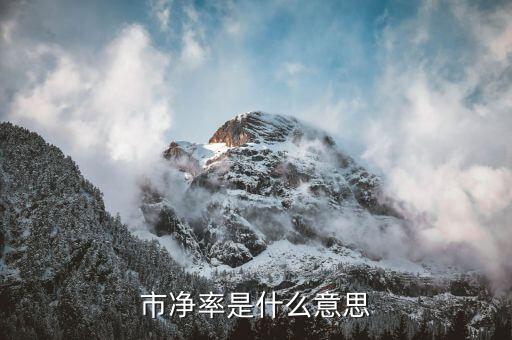 市凈率是什么意思舉例說明，什么是市凈率