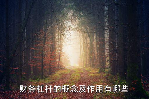 財務(wù)杠桿的概念及作用有哪些