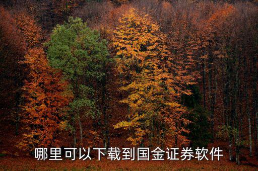 國金證券用的什么軟件，國金證券手機怎樣下載