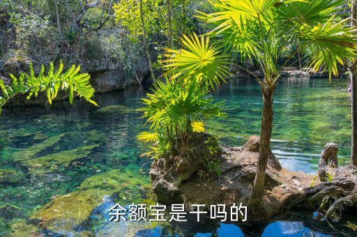 余額寶是什么，余額寶是干嗎的