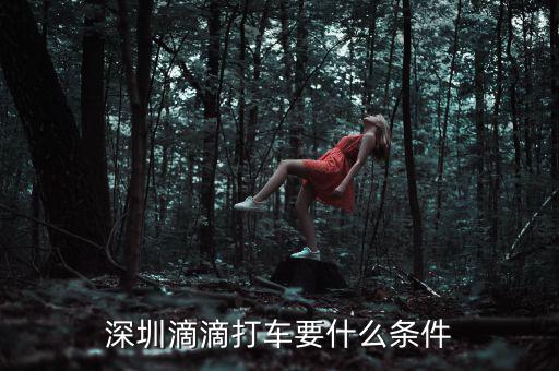 深圳交通滴滴有什么政策，申請深圳滴滴對司機有些什么要求嗎