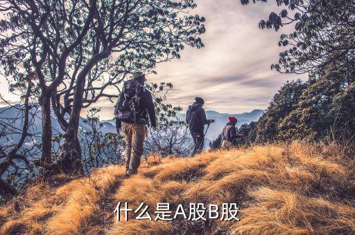 什么是a股什么是b股，什么是A股什么是B股