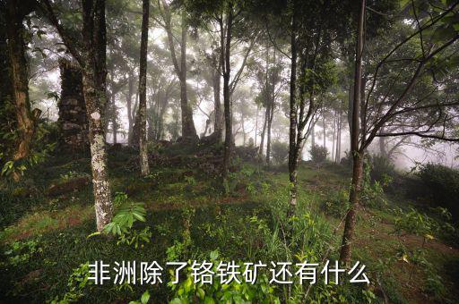 非洲有什么礦產(chǎn)資源，非洲哪些礦產(chǎn)豐富