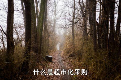 超市化采購什么意思，什么是超市化采購