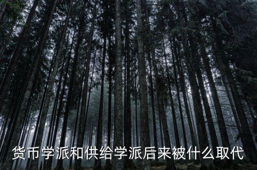 貨幣學派和供給學派后來被什么取代