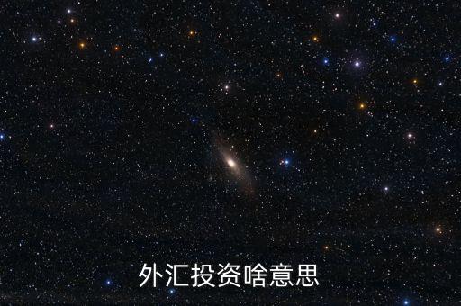 外匯融資是什么意思，外匯投資啥意思