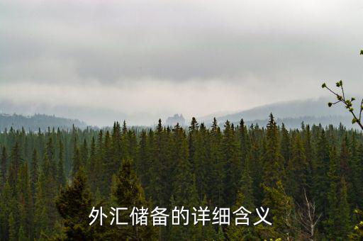 外匯儲備包括什么，外匯儲備指什么是用黃金或紙幣來儲備