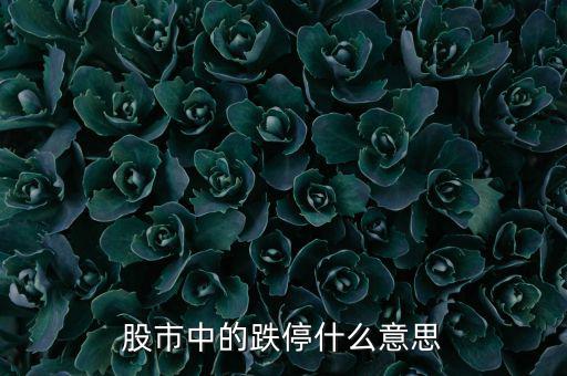 跌停是什么意思，跌停是什么意思