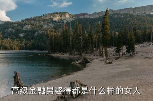 金融男喜歡什么樣的女生，高級金融男娶得都是什么樣的女人