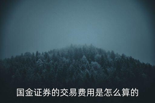 國(guó)金融資開(kāi)倉(cāng)費(fèi)用是什么，國(guó)金證券的交易費(fèi)用是怎么算的